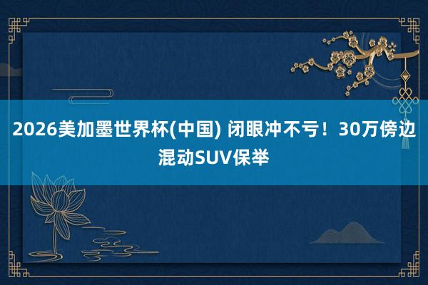 2026美加墨世界杯(中國) 閉眼沖不虧!30萬傍邊混動SUV保舉
